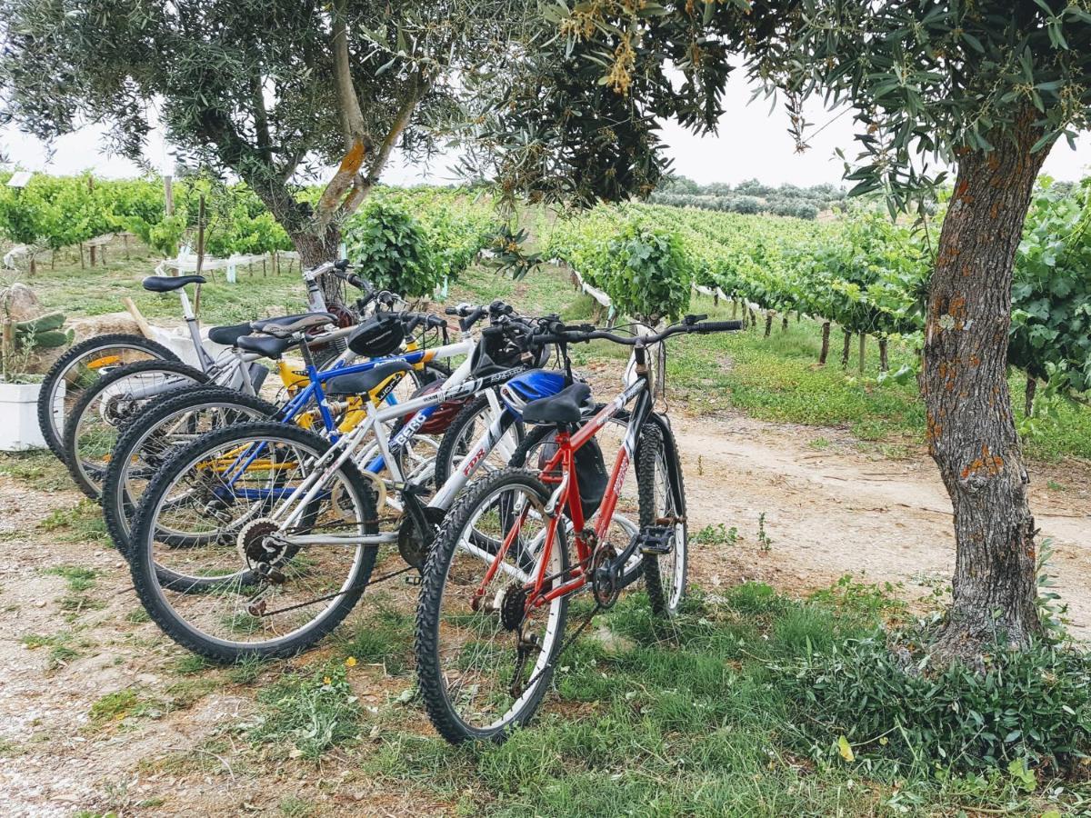 Monte das Aranhas Wine Luxury Estremoz Extérieur photo