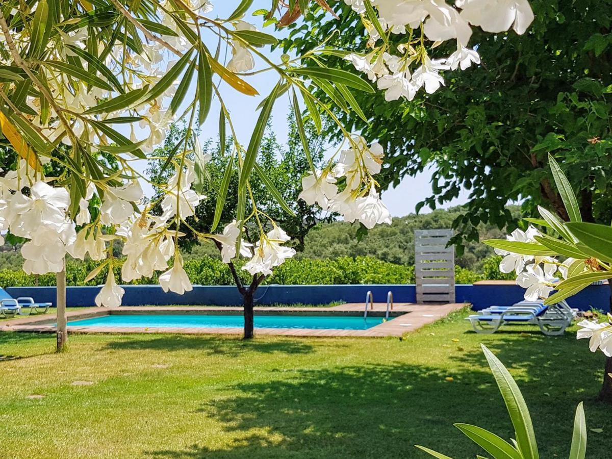 Monte das Aranhas Wine Luxury Estremoz Extérieur photo