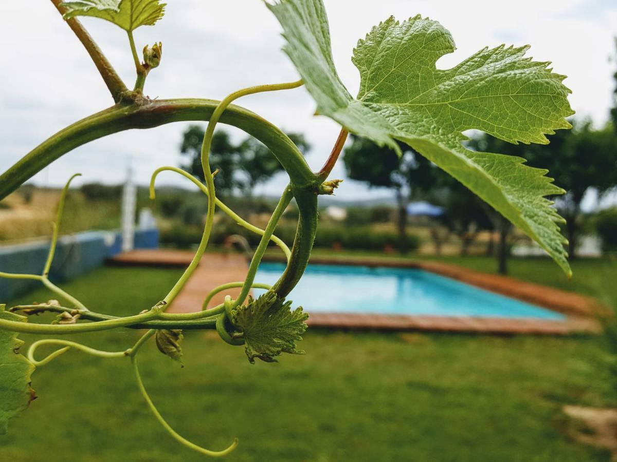 Monte das Aranhas Wine Luxury Estremoz Extérieur photo